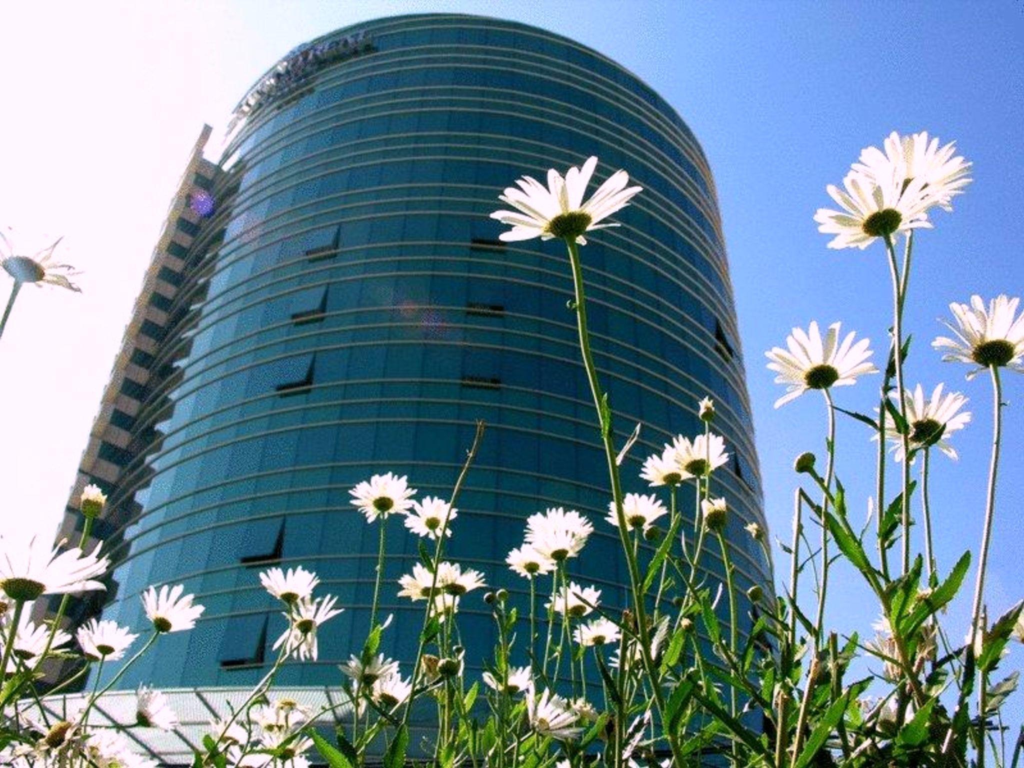 Suites Camino Real La Paz Luaran gambar